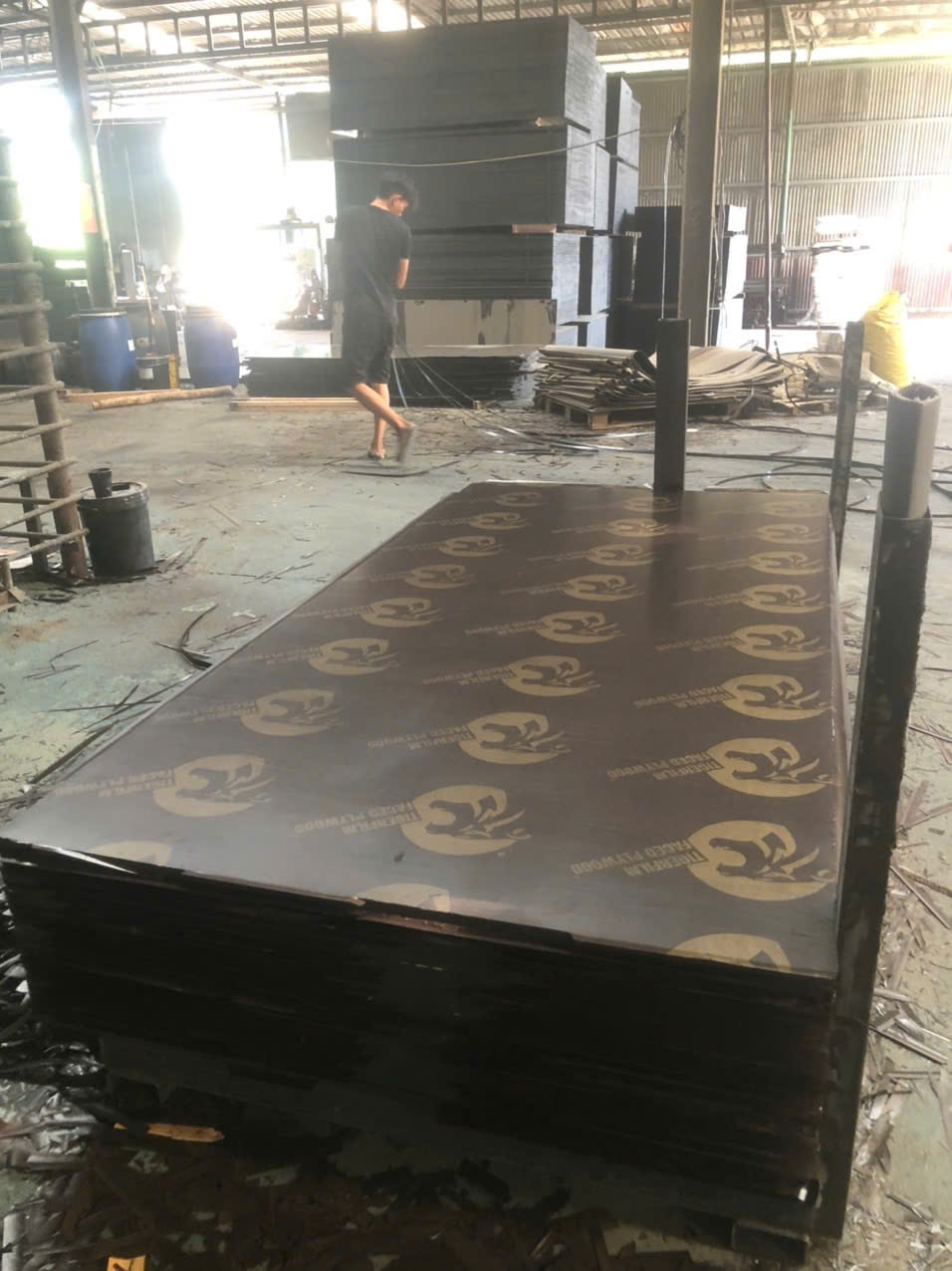 Nhà Máy Ván Ép Phủ Phim Giá tận gốc Nhà Máy Phía Bắc & Kho Miền Nam