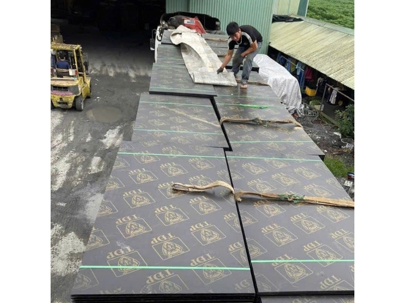 Ván phủ phim 1x2 giá bao nhiêu? So sánh với khổ 1220x2440 và khi nào nên mua