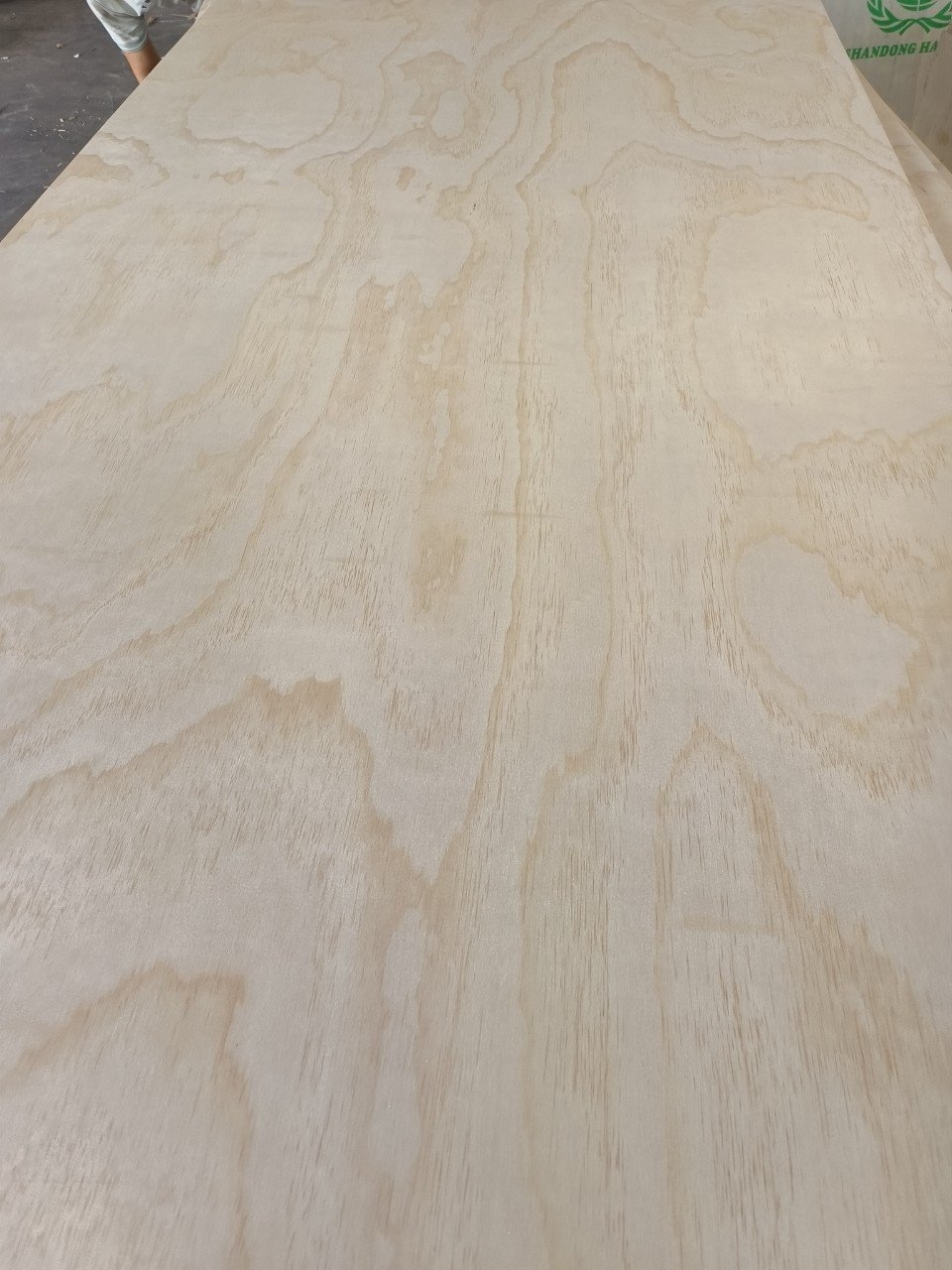Plywood Veneer Thông